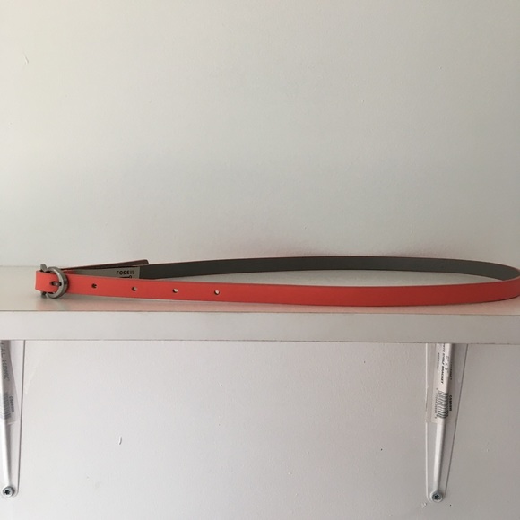 Sale 5 Foe $25 Fossil Belt - Picture 1 of 3